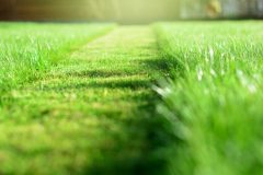 Grass cutting services in Calgary