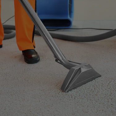 Commercial cleaning: carpet cleaning services
