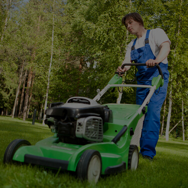 Commercial cleaning: mowing & grass cutting