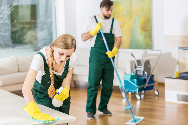 Professional cleaners are performing residential cleaning.