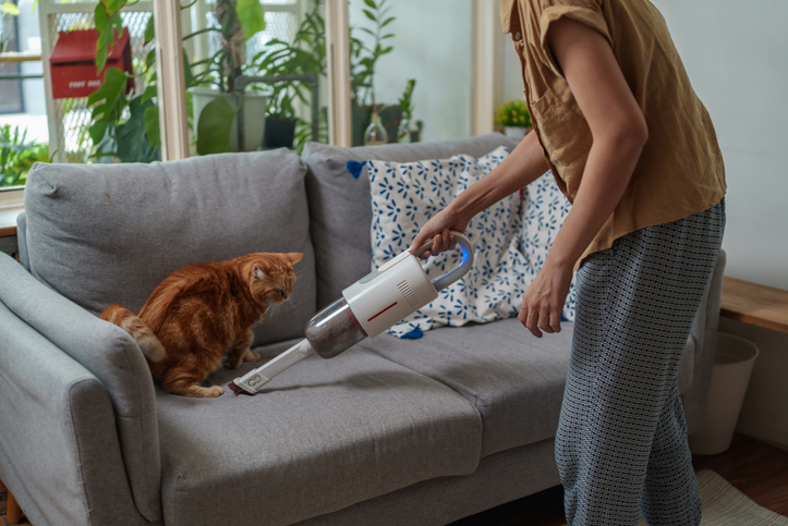 A woman shows how to deep clean a house after cats.