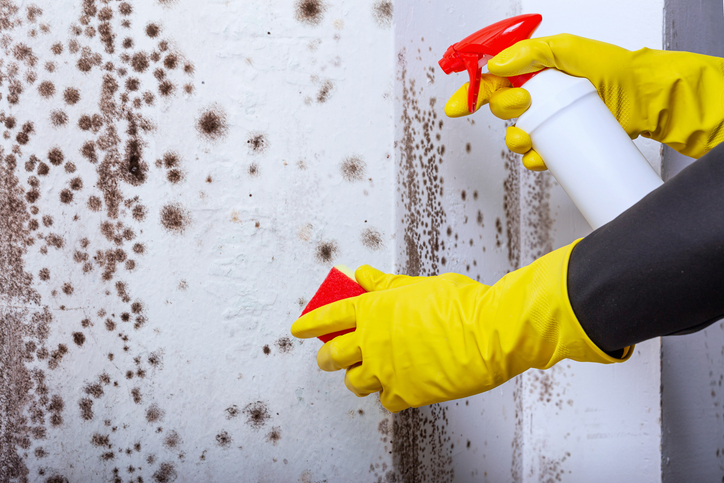 A man is spraying mould-resistant cleaning products as part of his cleaning routine to prevent mould growth during winter months.